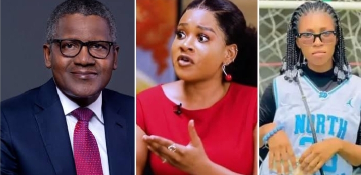 Phyna drags Aliko Dangote after his company truck allegedly crashed into her sister